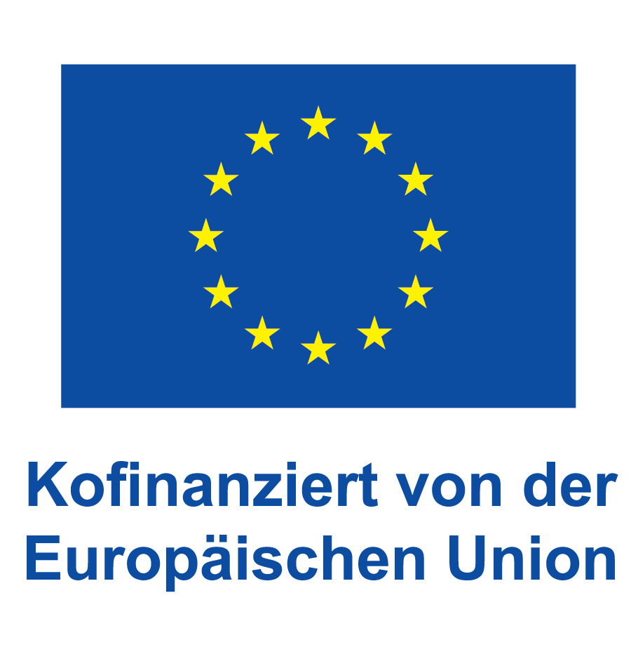 V Kofinanziert von der Europischen Union POS